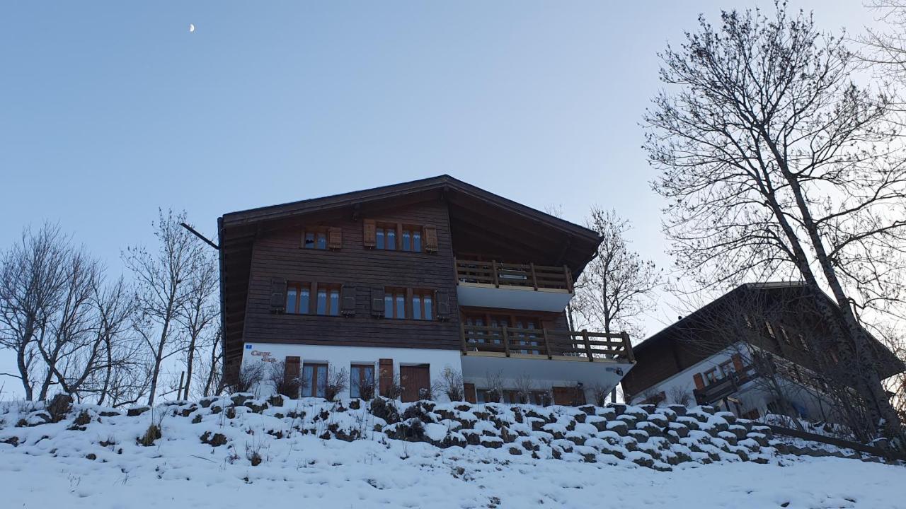 Chalet Carpe Diem Fieschertal Luaran gambar
